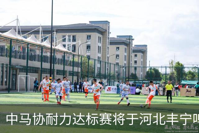 中马协耐力达标赛将于河北丰宁鸣枪 数十家专业马术俱乐部角逐