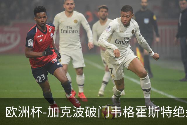 欧洲杯-加克波破门韦格霍斯特绝杀 荷兰2-1波兰